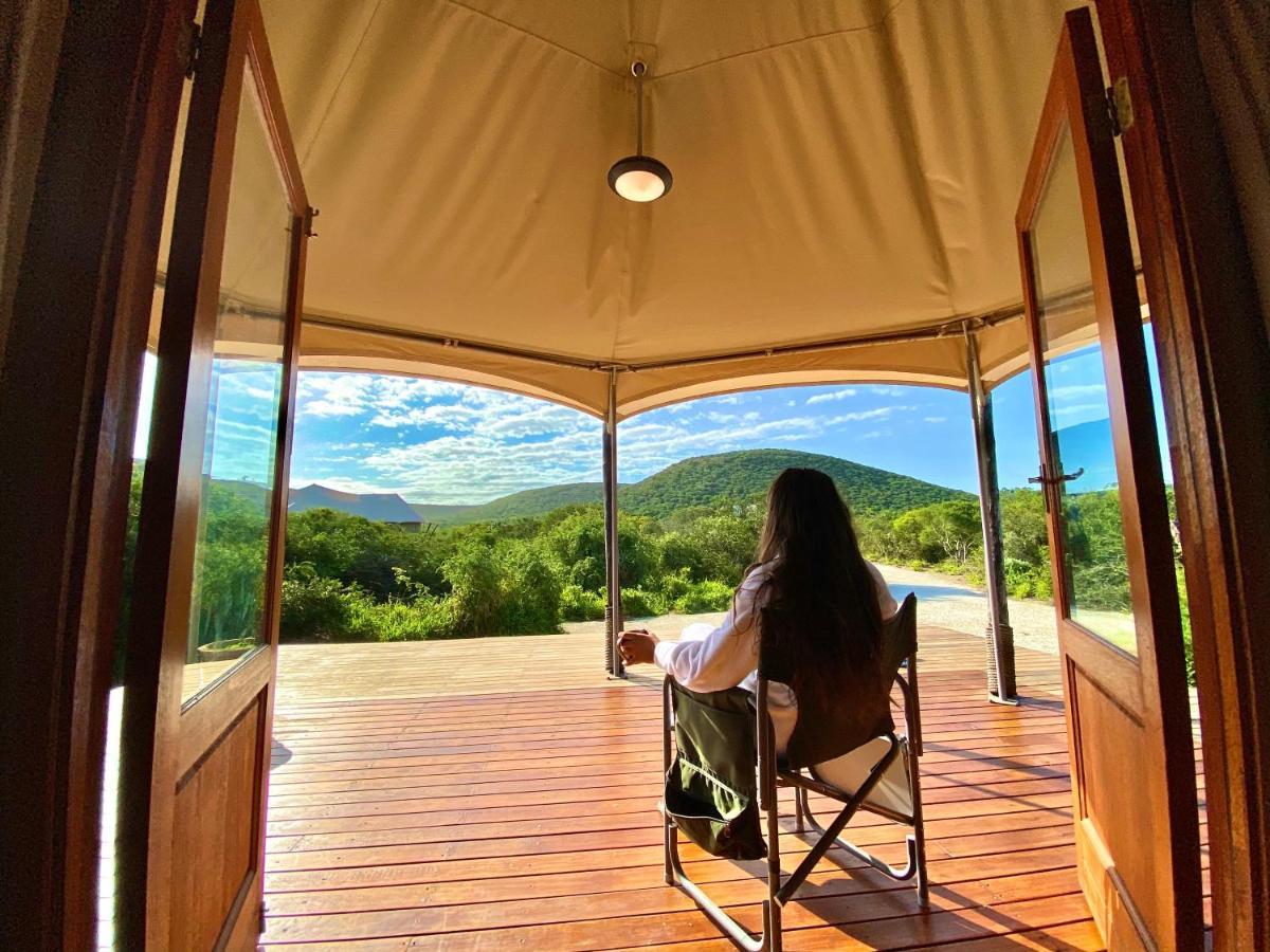 Parkview Safari Lodge โคลเชสเตอร์ ภายนอก รูปภาพ