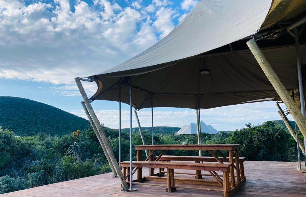 Parkview Safari Lodge โคลเชสเตอร์ ภายนอก รูปภาพ