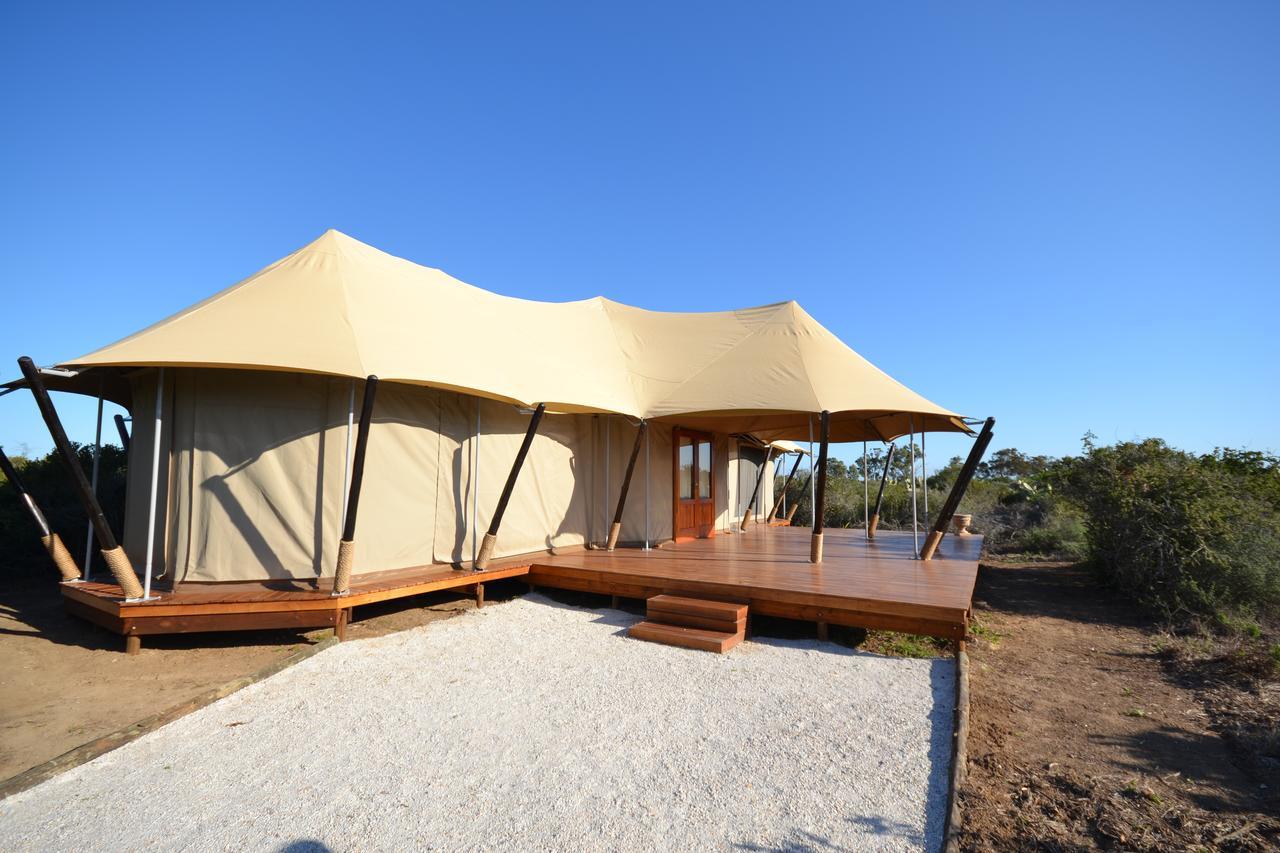 Parkview Safari Lodge โคลเชสเตอร์ ภายนอก รูปภาพ