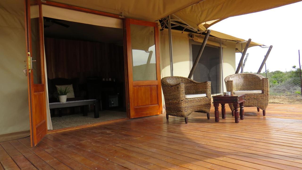 Parkview Safari Lodge โคลเชสเตอร์ ภายนอก รูปภาพ